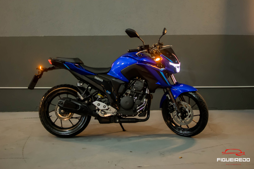 FZ 25